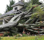 l'ouragan Hélène