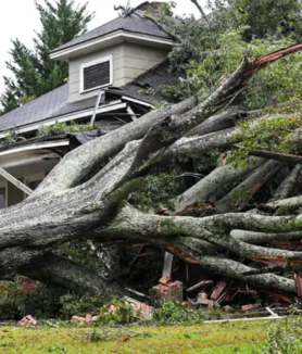 l'ouragan Hélène